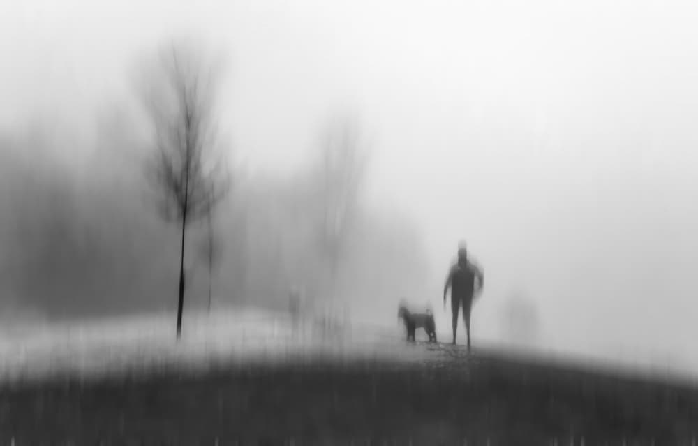 Foggy Winter Walk by Amer Jassim — canvas wall art