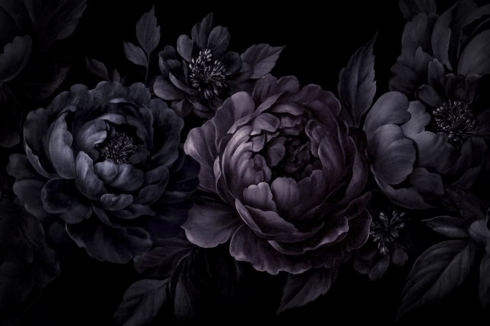 Dramatic Dark Blooms by Andrea Haase — canvas wall art