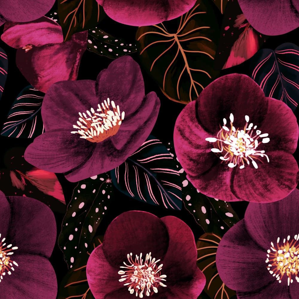 Midnight Dark Pink Flowers by Anis Illustration — canvas wall art