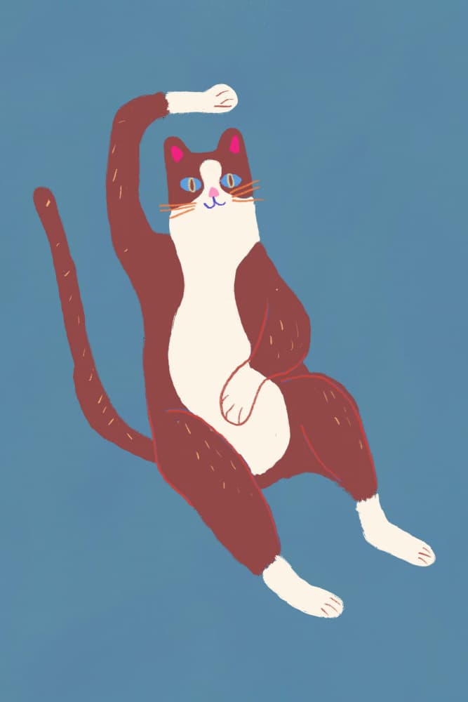 Playful Cat Stretch by Little Dean — canvas wall art