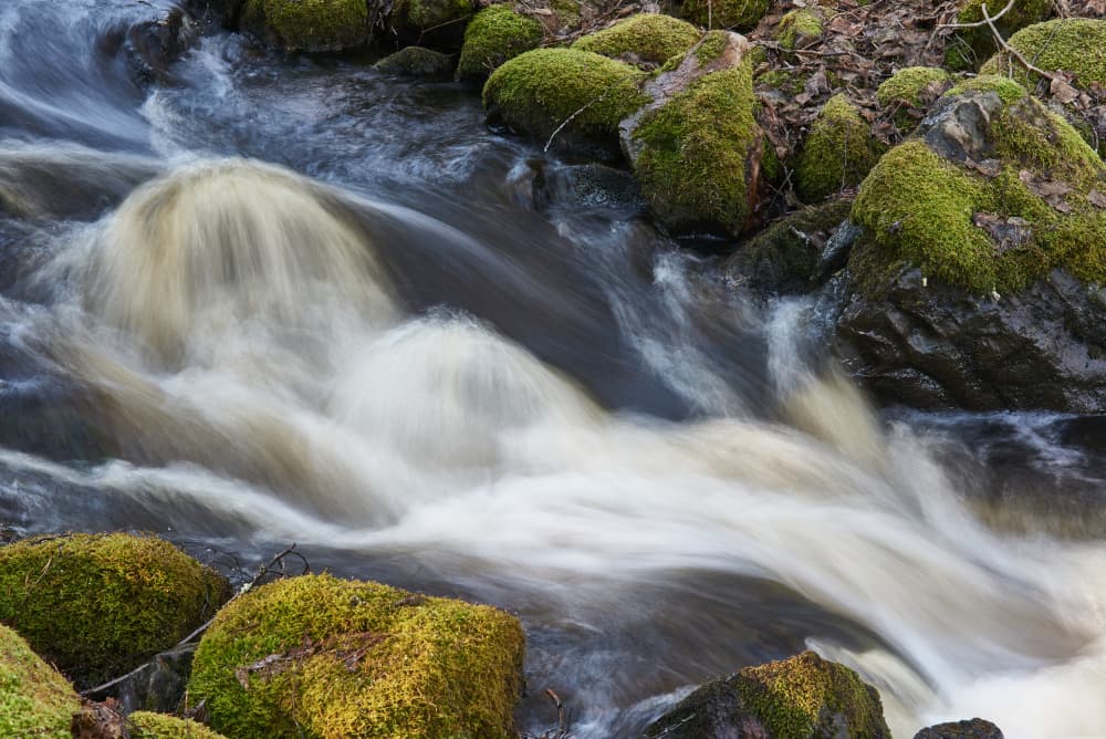 Tranquil Mossy Stream by Geertjan Plooijer — canvas wall art