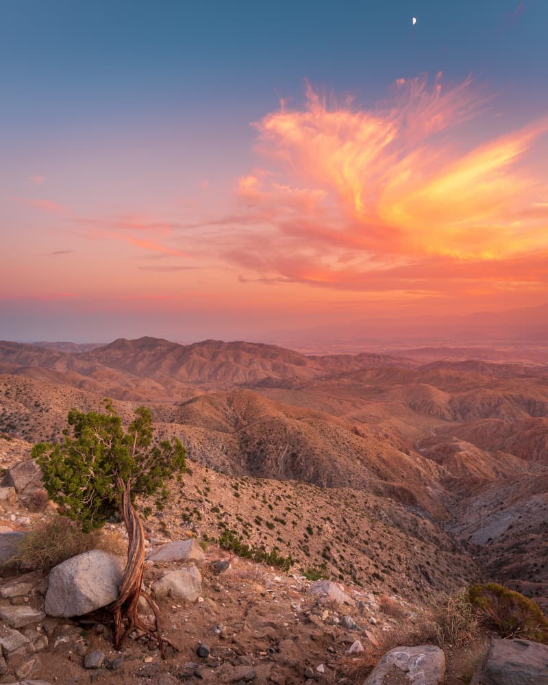 Desert Sunset Moon by Syed Iqbal — canvas wall art