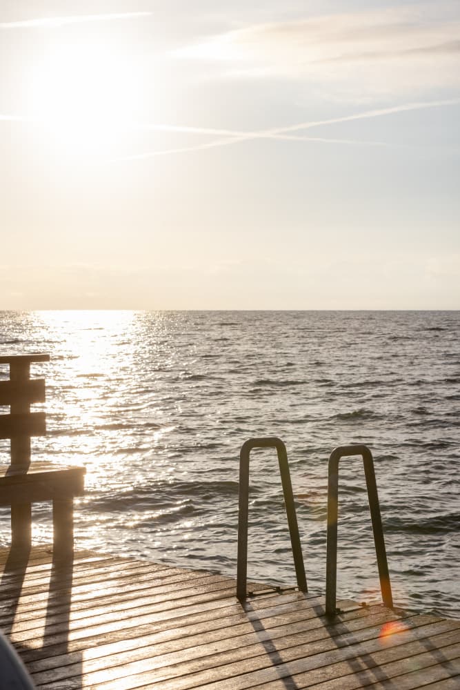 Summer Morning Swim by Mareike Böhmer — canvas wall art