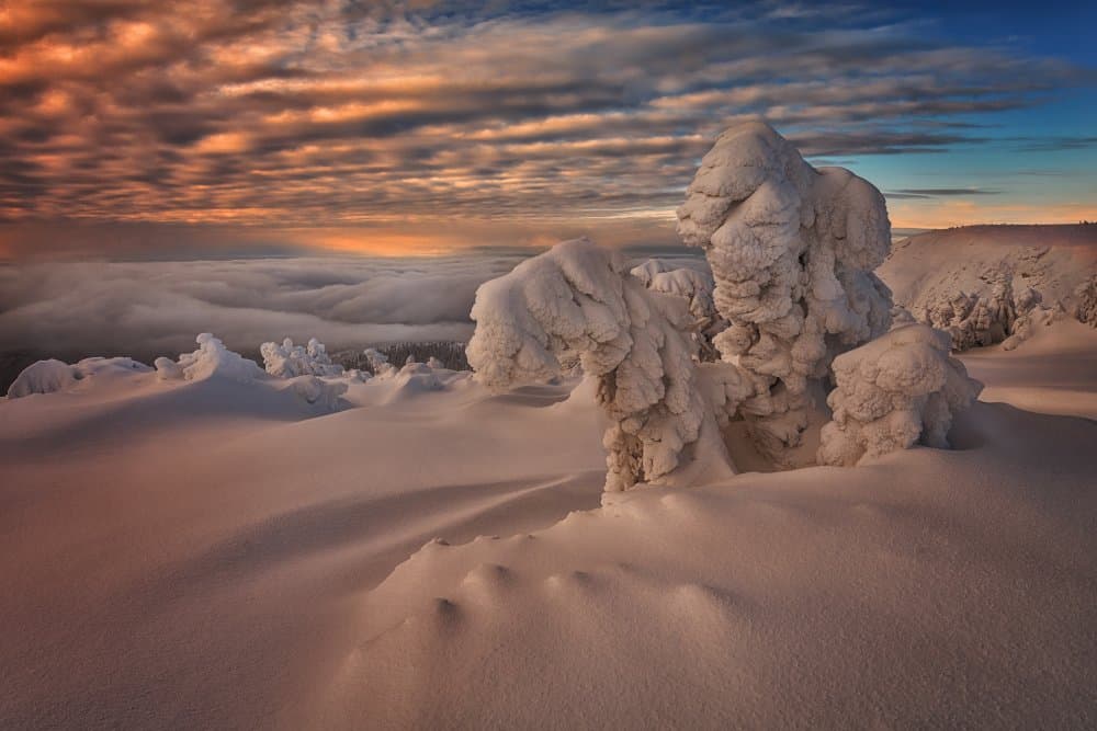 Frozen Peaks Winter Dawn by Martin Morávek — canvas wall art
