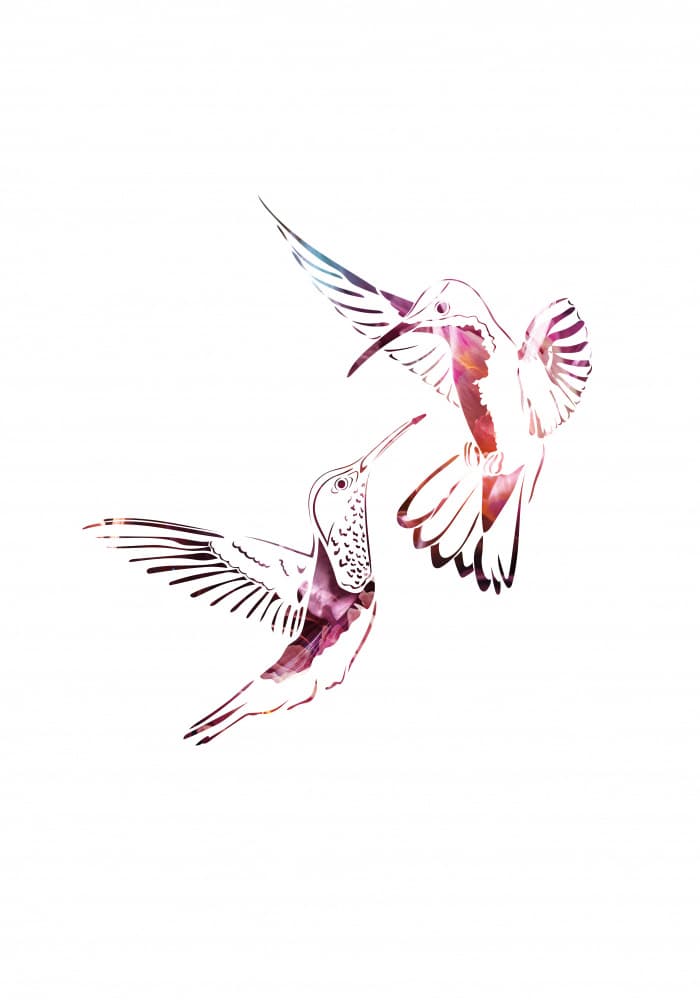 Vibrant Hummingbird Flight by Sarah Manovski — canvas wall art