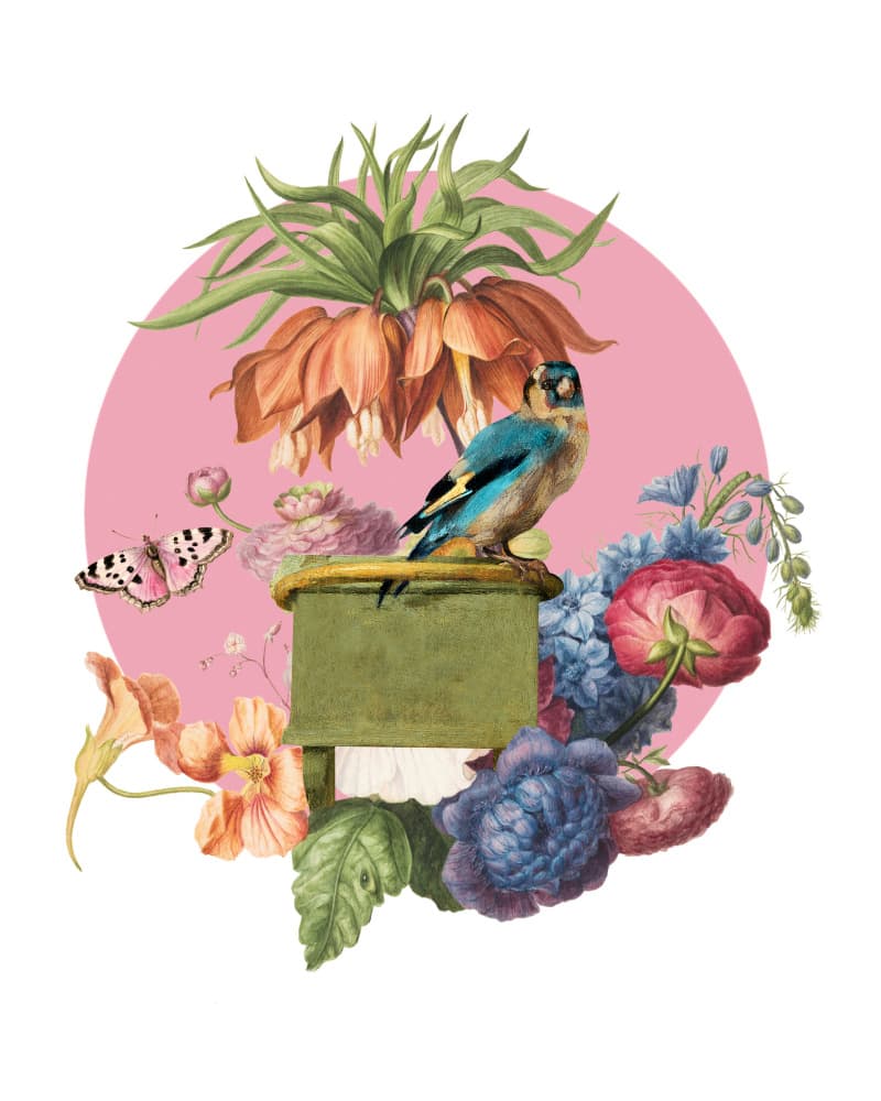Botanical Bird and Blooms