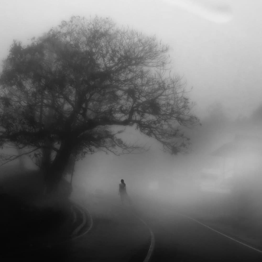 Mysterious Foggy Road by Hari Sulistiawan — canvas wall art
