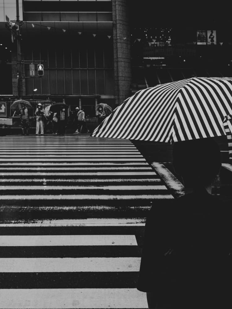 Rainy City Crossing by Ryoga Otake — canvas wall art