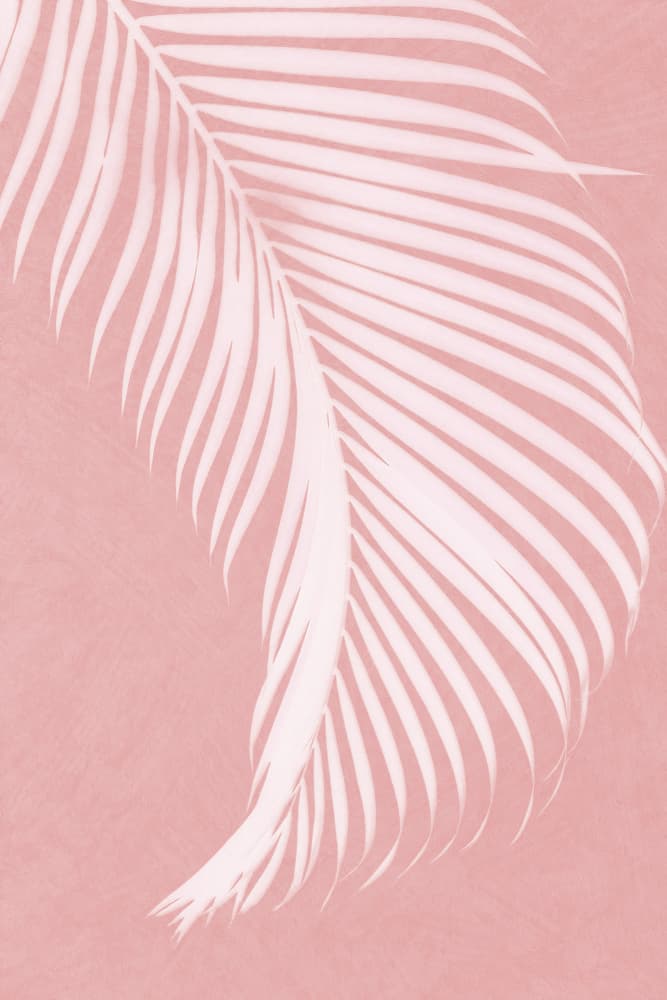 Blush Palm Botanical by amini54 — canvas wall art
