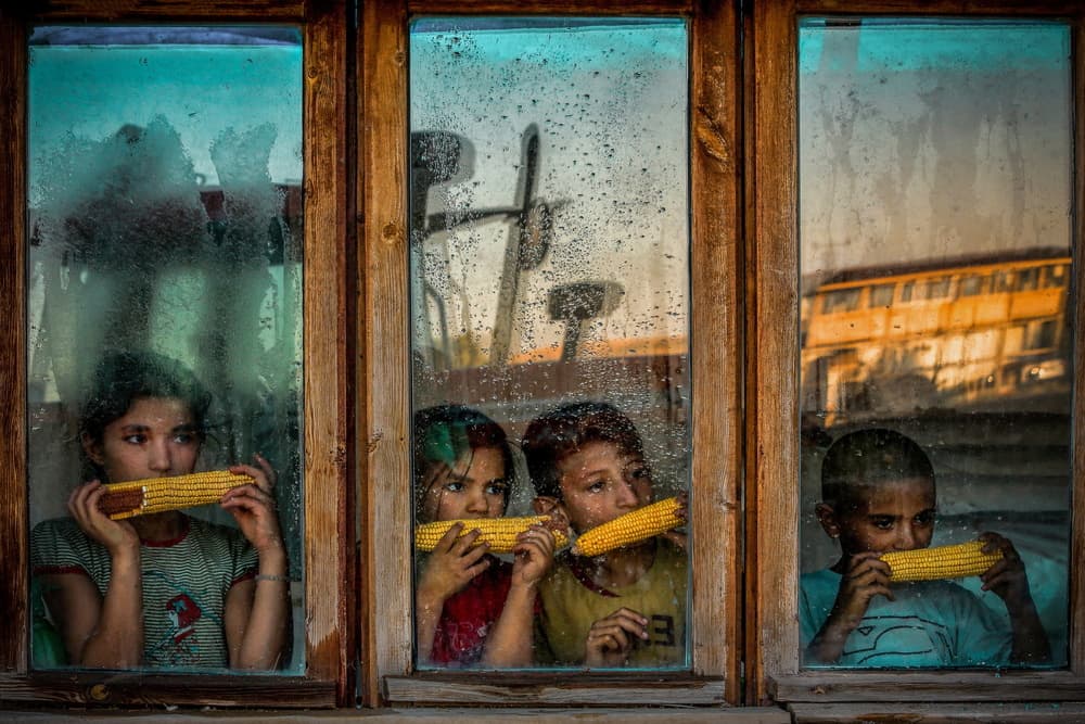 Children Eating Corn by Ummu Nisan Kandilcioglu — canvas wall art