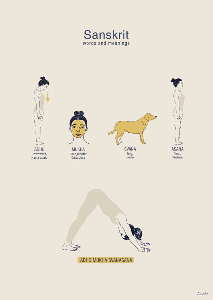 Sanskrit Yoga Meanings by Amanda Leon — canvas wall art