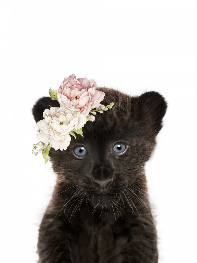Black Panther Flower Crown by Lila &amp; Lola — canvas wall art