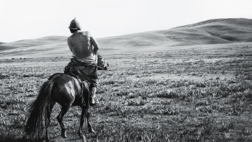 Lone Rider on Plains by txules — canvas wall art