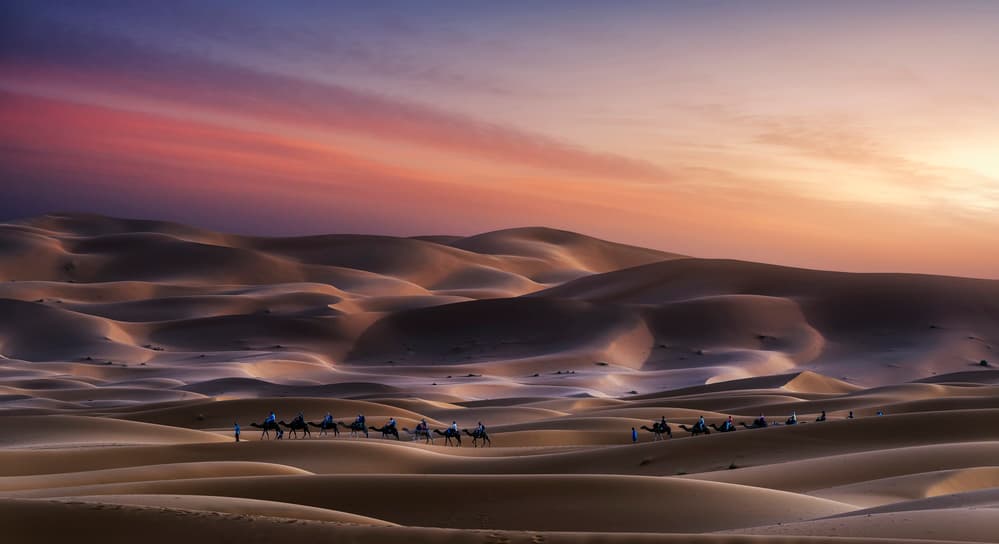 Desert Sunset Caravan by Jorge Ruiz Dueso — canvas wall art