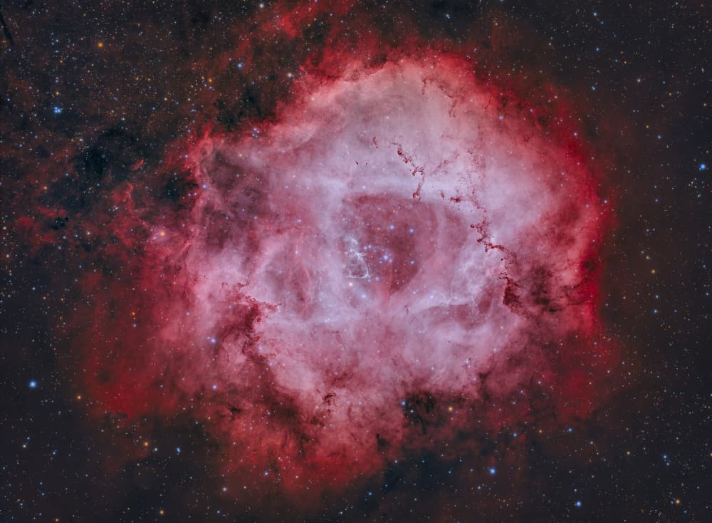 Cosmic Rose Nebula by Rosa María Rodríguez — canvas wall art