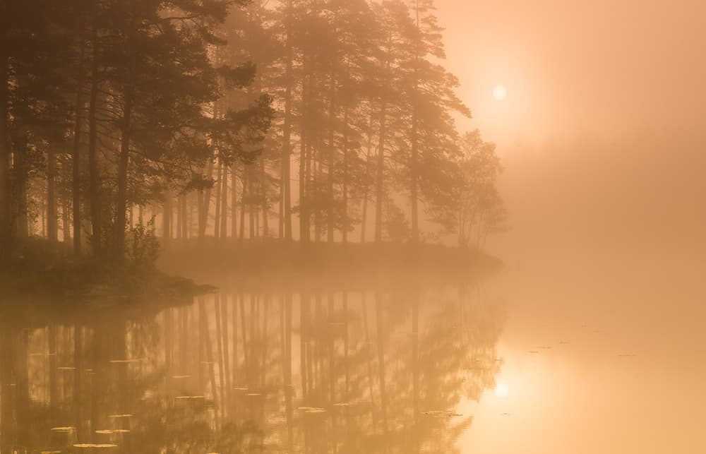 Golden Lake Morning Mist by Andreas Christensen — canvas wall art