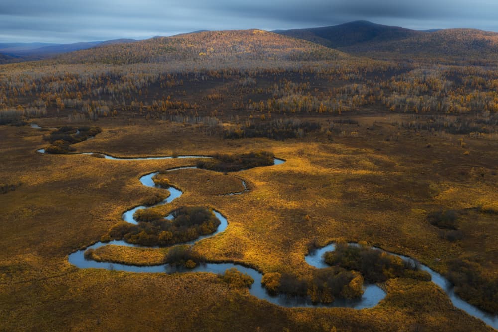 Golden Meandering River by UU — canvas wall art