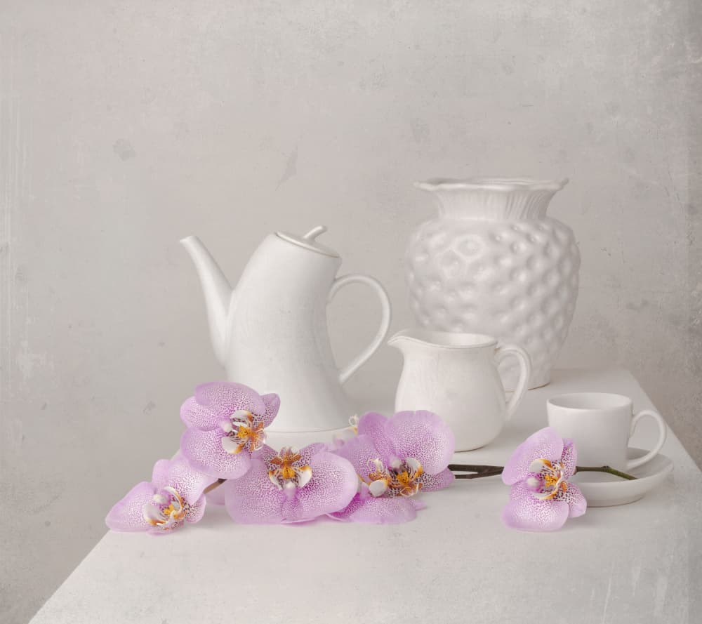 White Orchid Still Life by Margareth Perfoncio — canvas wall art