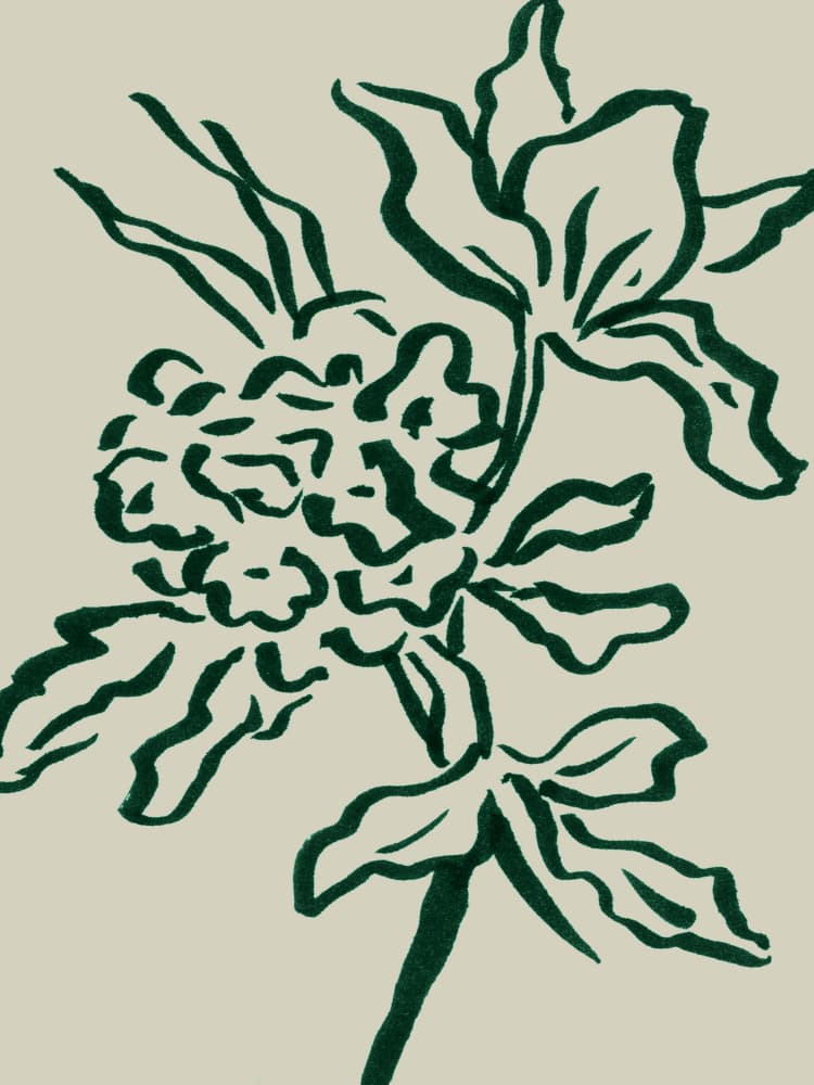 Flower by Dan Hobday — canvas wall art