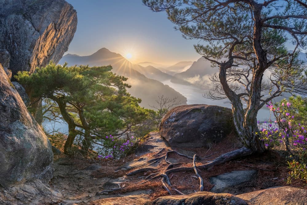 Misty Mountain Sunrise by Jaeyoun Ryu — canvas wall art