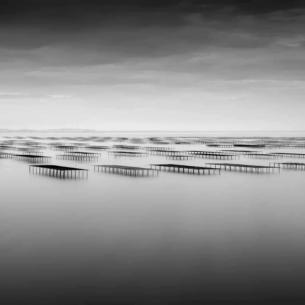 Black and White Oyster Farm by Robert Bolton — canvas wall art