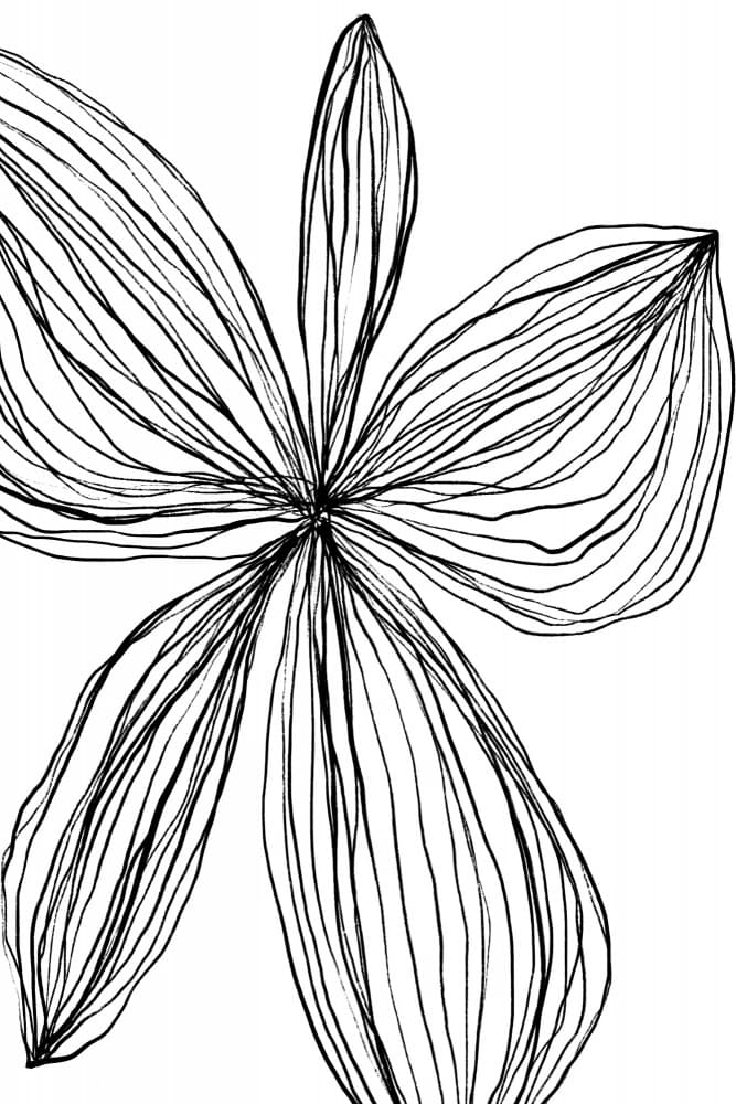 Minimalist Black and White Petals by uplusmestudio — canvas wall art
