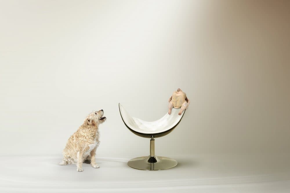 Dog's Chicken Dilemma by Christine von Diepenbroek — canvas wall art