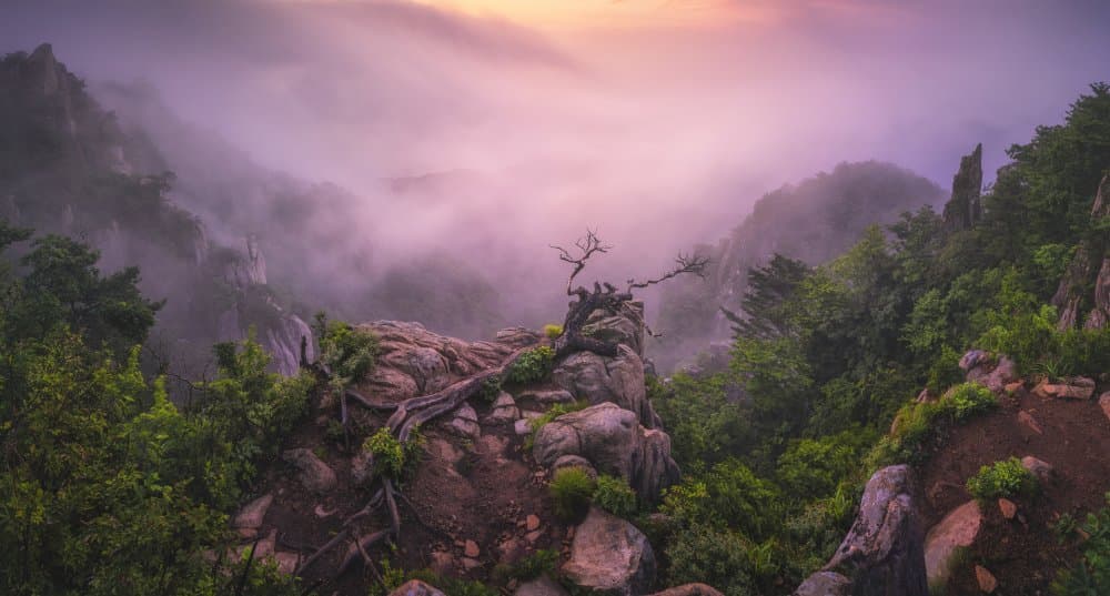 Purple Mist Mountains by Tiger Seo — canvas wall art