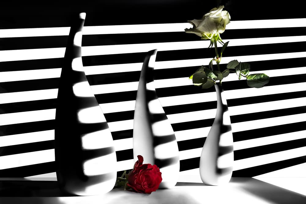 Modern Vases Striped Shadows by Ulrike Leinemann — canvas wall art