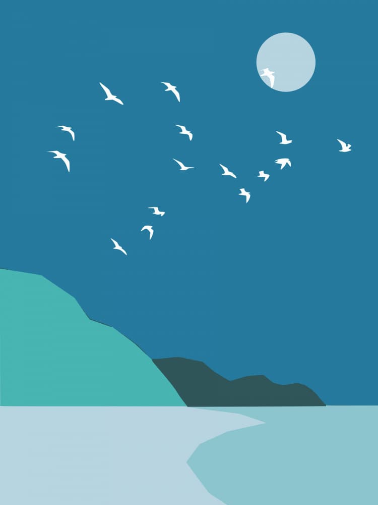 Moonlit Coastal Flight by Little Dean — canvas wall art
