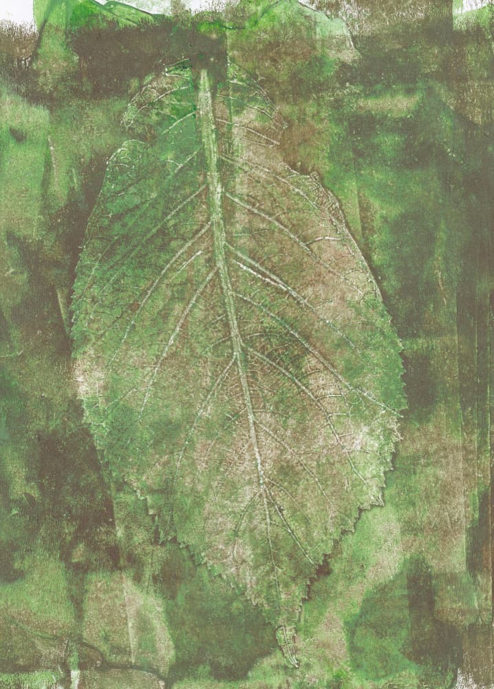 Organic Leaf Impression