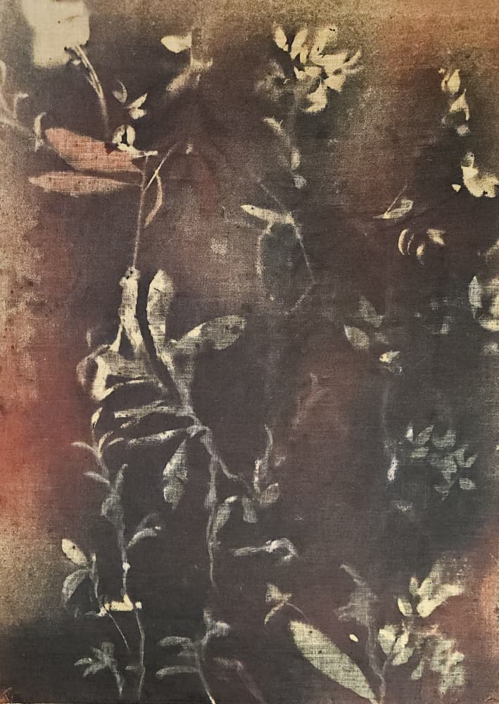 Dark Botanical Forms by Stefano Mazzolini — canvas wall art