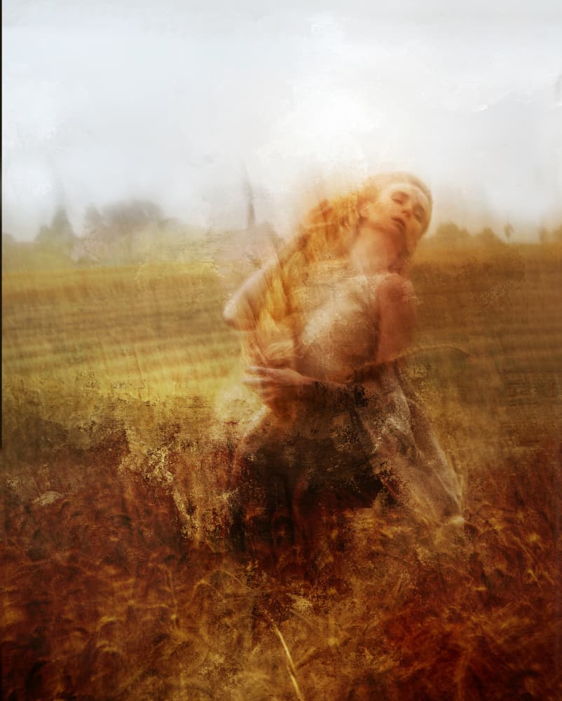 Golden Field Serenity by Rachel Pansky — canvas wall art