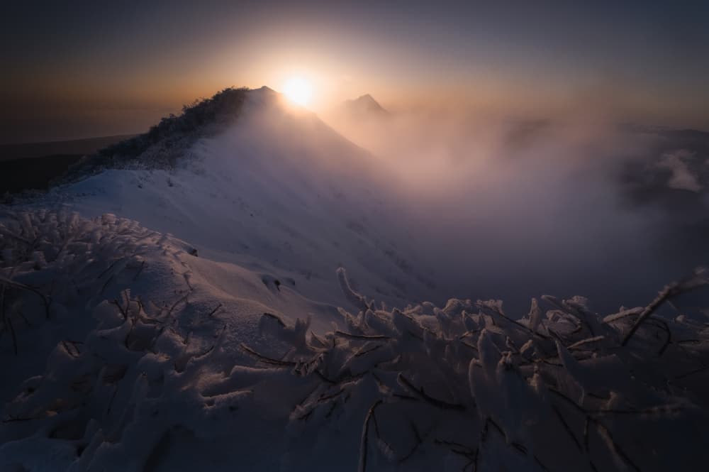 Golden Mountain Mist by Daiki Kuroda — canvas wall art