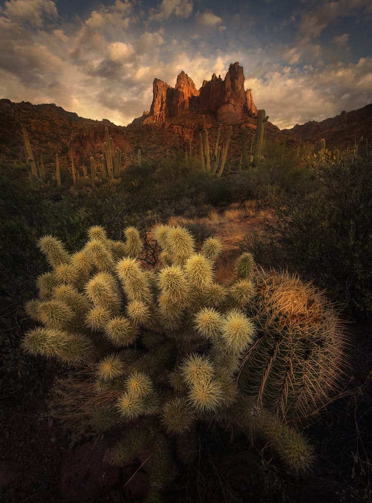 Arizona Desert Sunset by Mirko Vecernik — canvas wall art