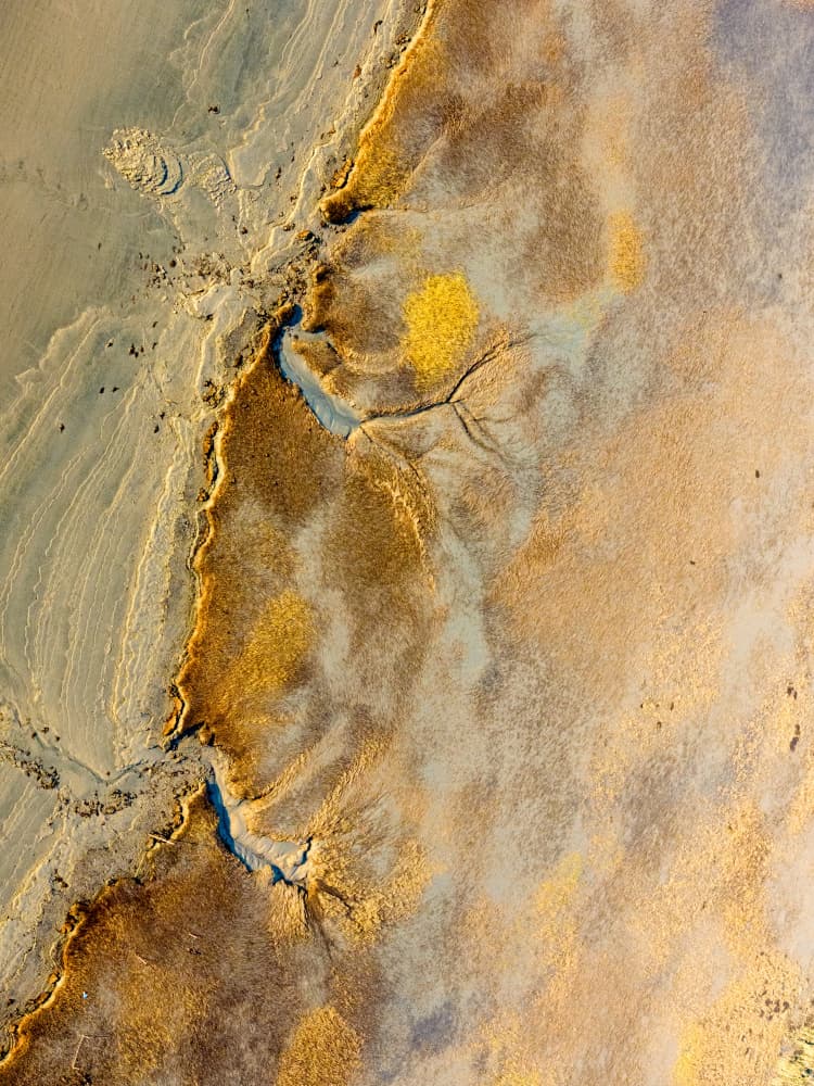 Golden Earth Patterns by Grace Guo APA — canvas wall art
