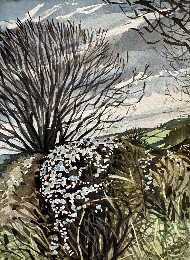 Winter Countryside Bloom