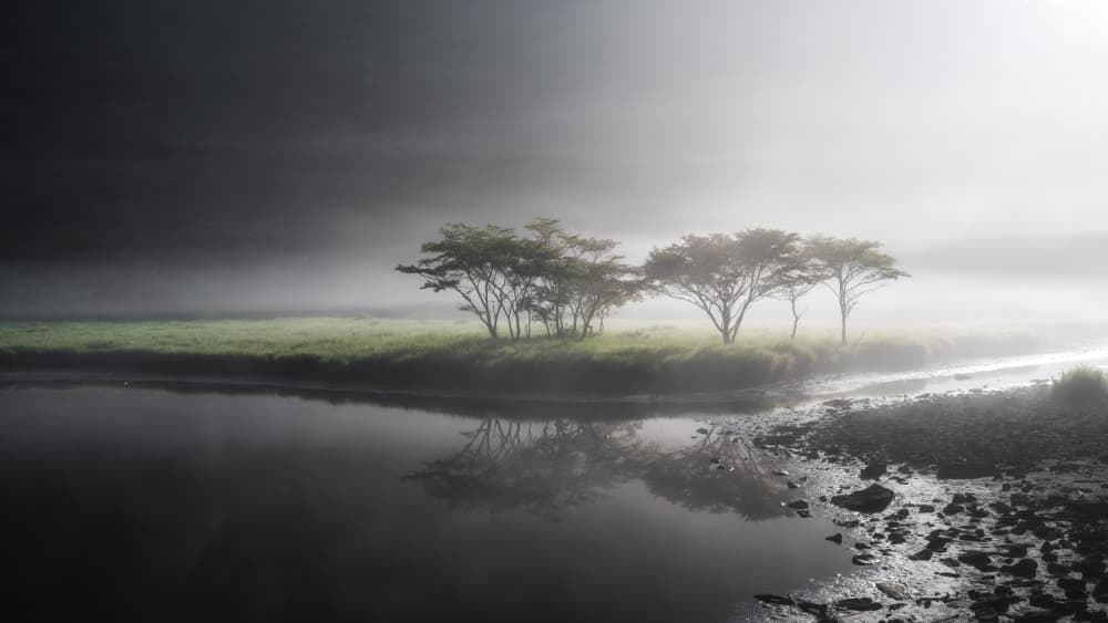 Misty Morning Reflections by Syunsuke Narita — canvas wall art