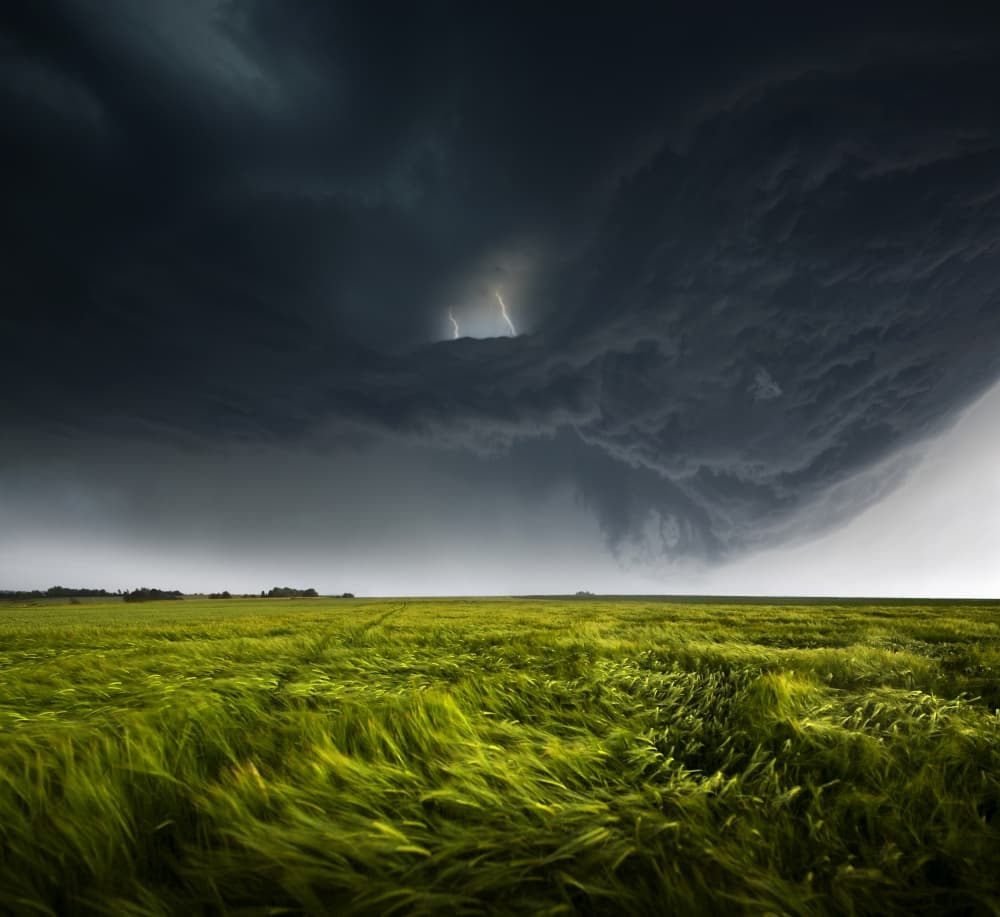 Storm Over Green Field by Nicolas Schumacher — canvas wall art