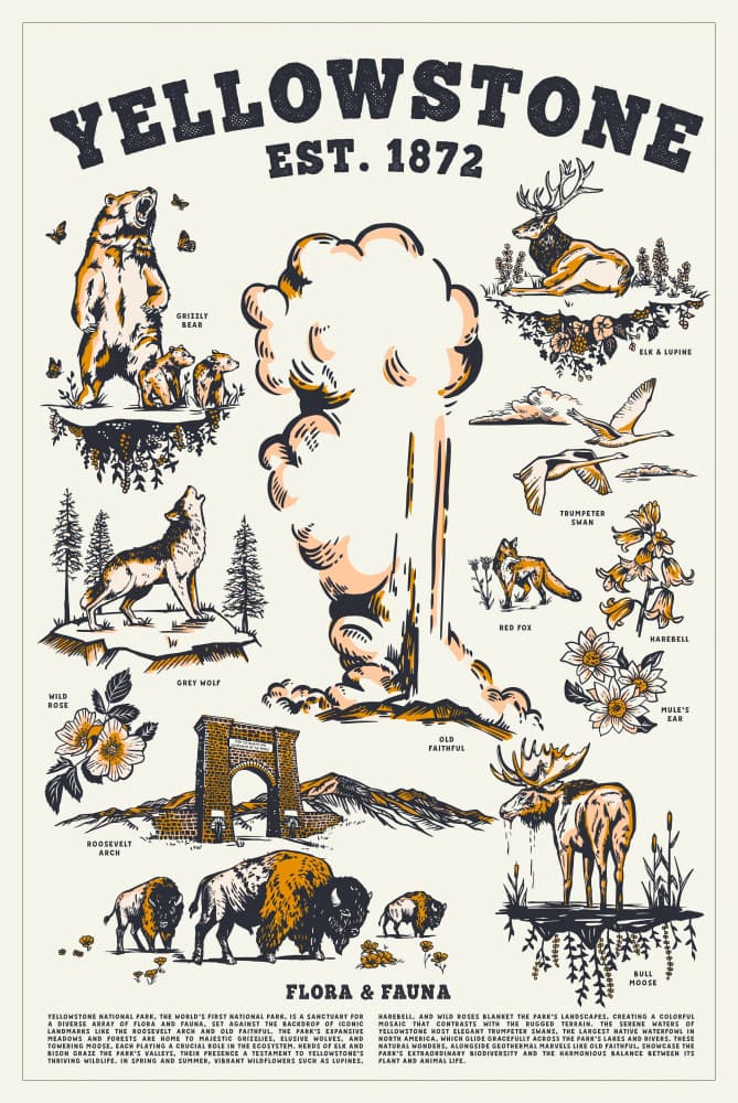 National Park Wyoming Flora & Fauna by The Whiskey Ginger — canvas wall art