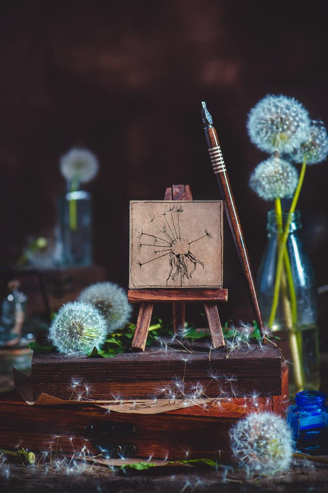Dandelion Botanical Still Life by Dina Belenko — canvas wall art