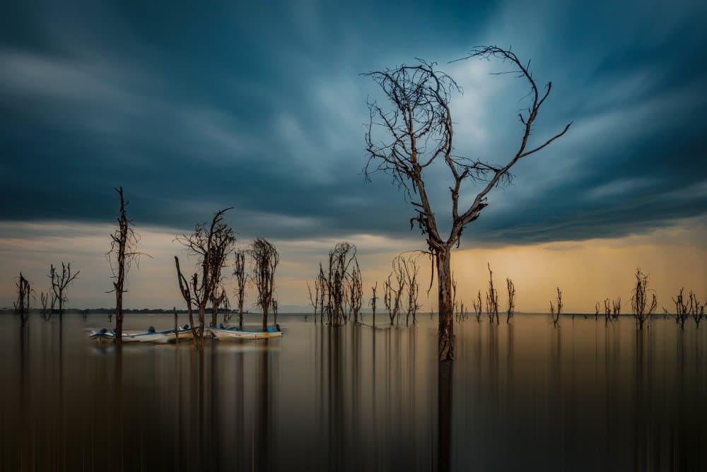 Moody Lake Trees by Isam Telhami — canvas wall art