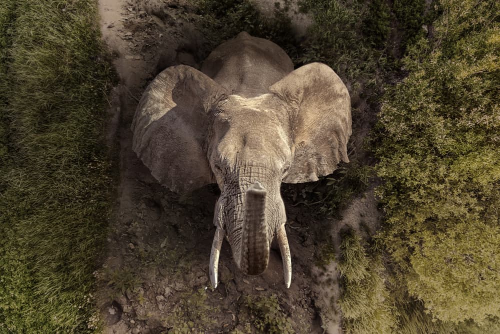 HeadUp by Marcel Egger — canvas wall art