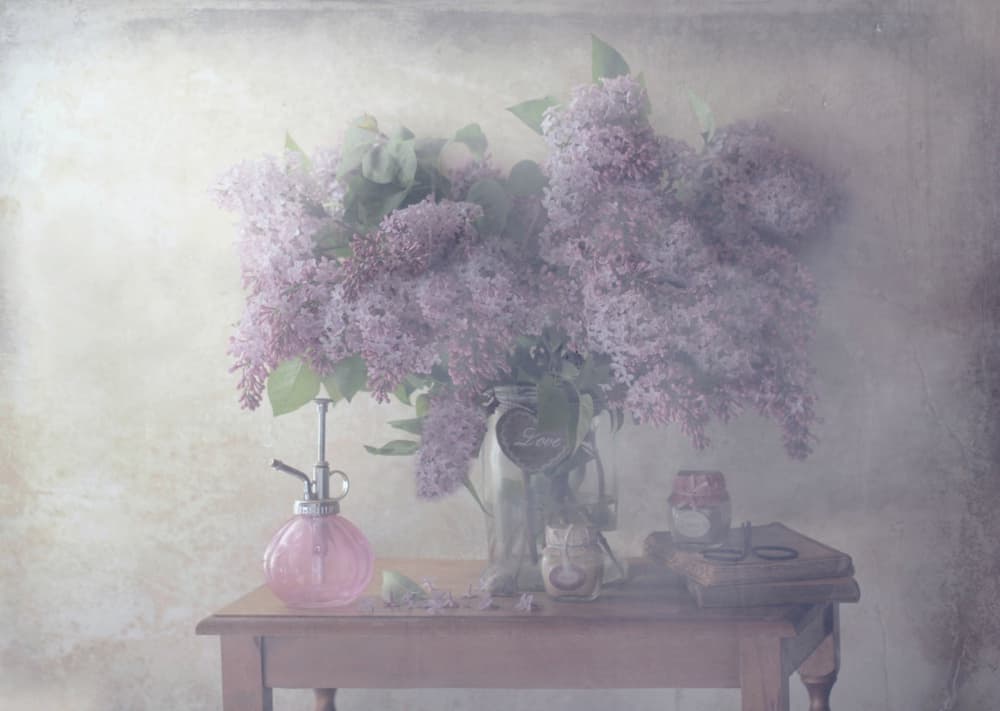 Dreamy Lilac Still Life by Delphine Devos — canvas wall art