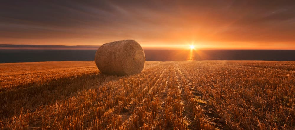 Golden Hay Bale Sunset by Marcin Krakowski — canvas wall art