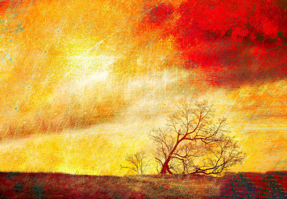 Fiery Horizon Tree by Porter Thomas — canvas wall art