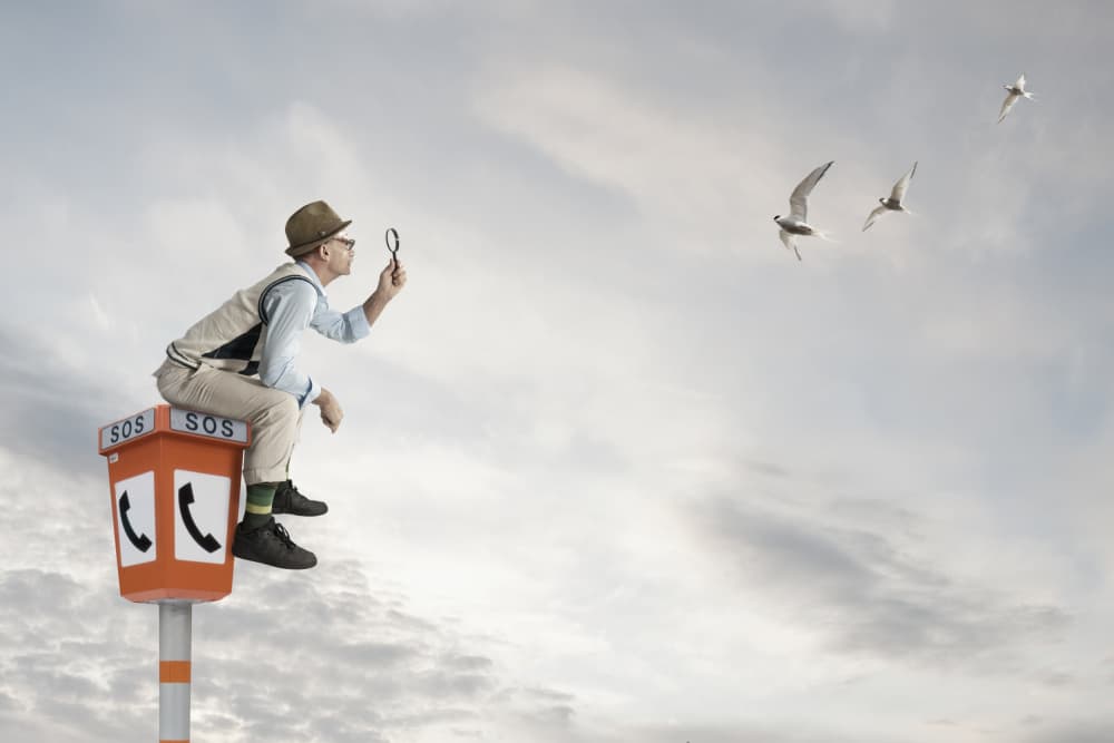 Curious Man Sky Gazing by Christine von Diepenbroek — canvas wall art