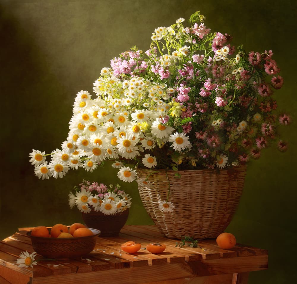 Summer Daisies and Apricots by Tatyana Skorokhod — canvas wall art