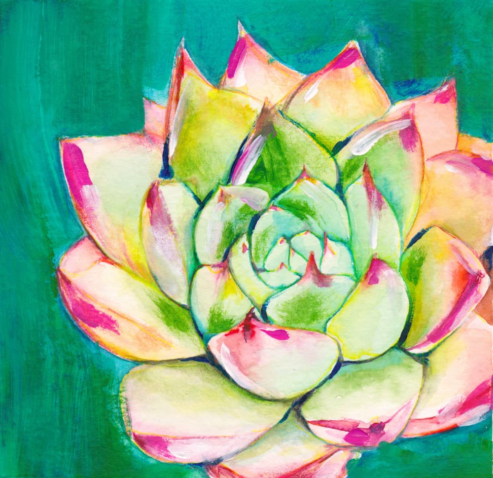 Pink Succulent Rosette by Christine Lindstrom — canvas wall art
