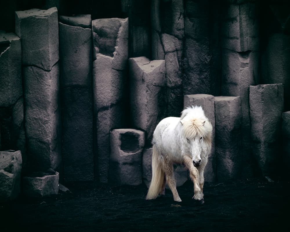 White Horse Basalt Columns by Bragi Kort — canvas wall art